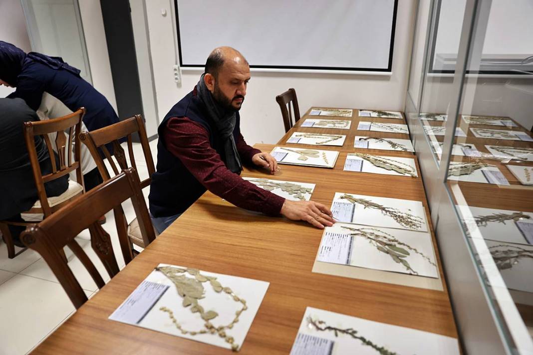 Dünyada sadece o kentimizde yetişiyor! Herbaryumda 400 bitki koruma altına alındı 9